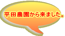 平田農園から来ました。